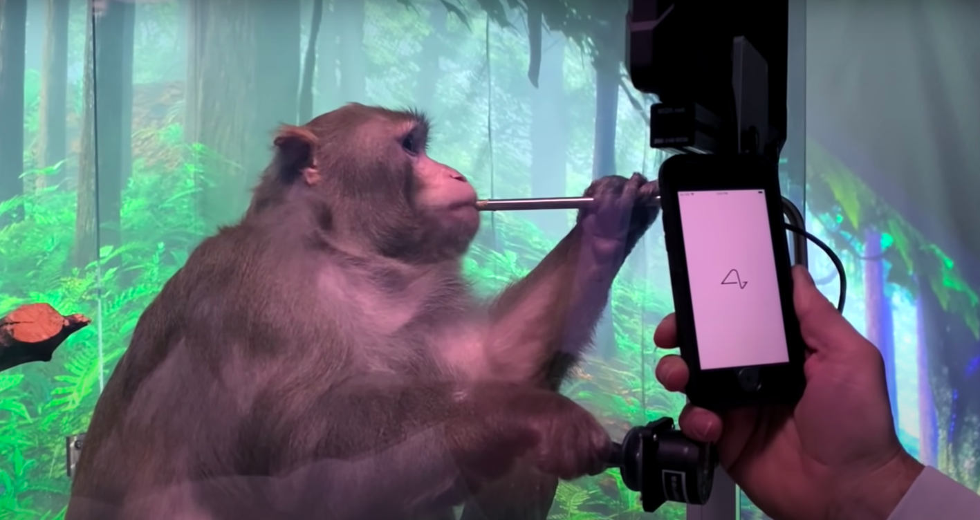 elon-musk-neuralink-device-let-a-monkey-play-video-game-with-mind-signals