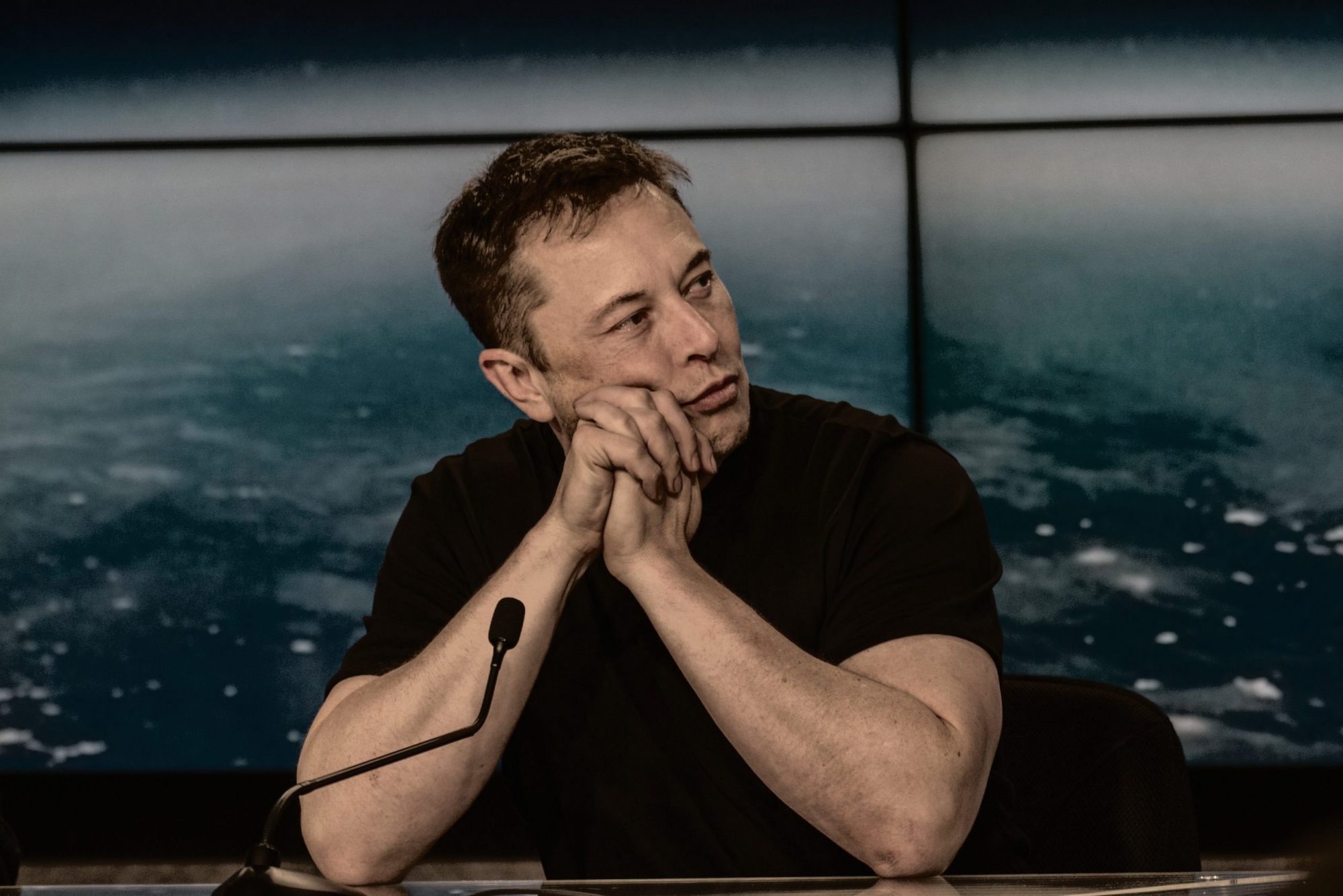 most-of-elon-musk-x-followers-are-fake