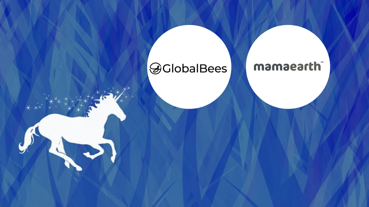 india-now-have-81-unicorn-startups-as-mamaearth-globalbees-included-in-list