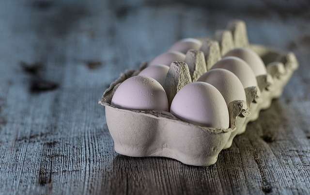 eggs-delivery-startup-eggoz-funding-news